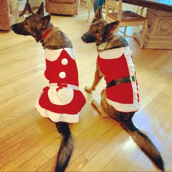 white christmas dresses Christmas Tree Costume for Pet main image 0